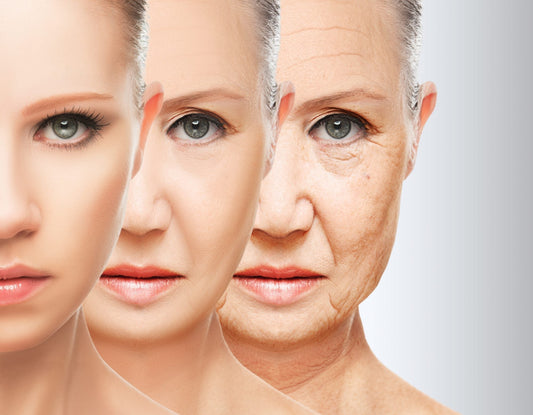 Official Lifecell Anti-Aging Cream Ingredient List